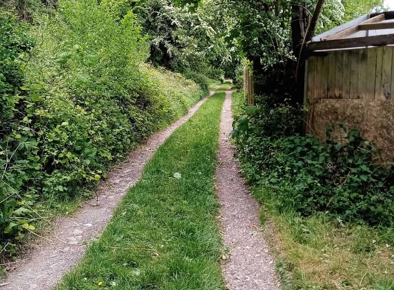 New routes to discover