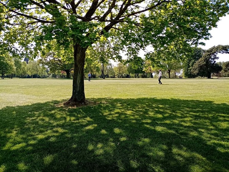 Golf courses are expansive walking fields for your best life