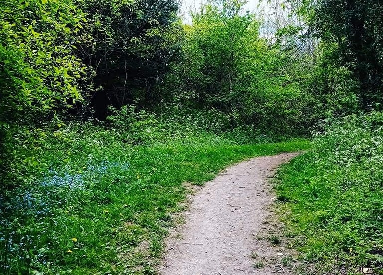 How to walk on the wild side for your best life